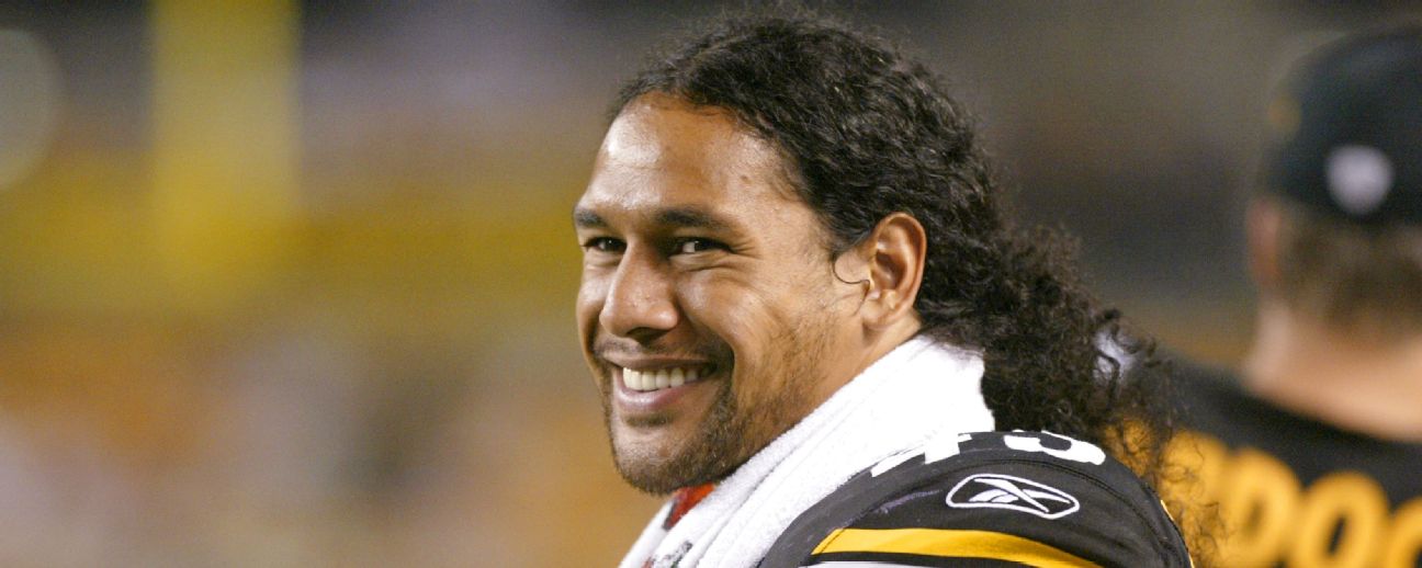 Troy Polamalu Stats News Bio Espn