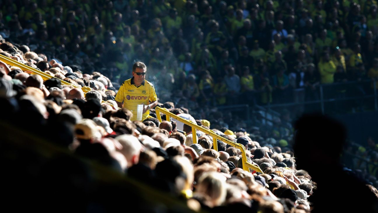Rouse Botanik kaldenavn Best job ever Borussia Dortmund fans want beer carrier paid in drinks and  match tickets
