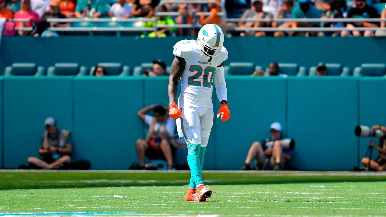 Reshad Jones  Miami dolphins football, Nfl dolphins, Dolphins football