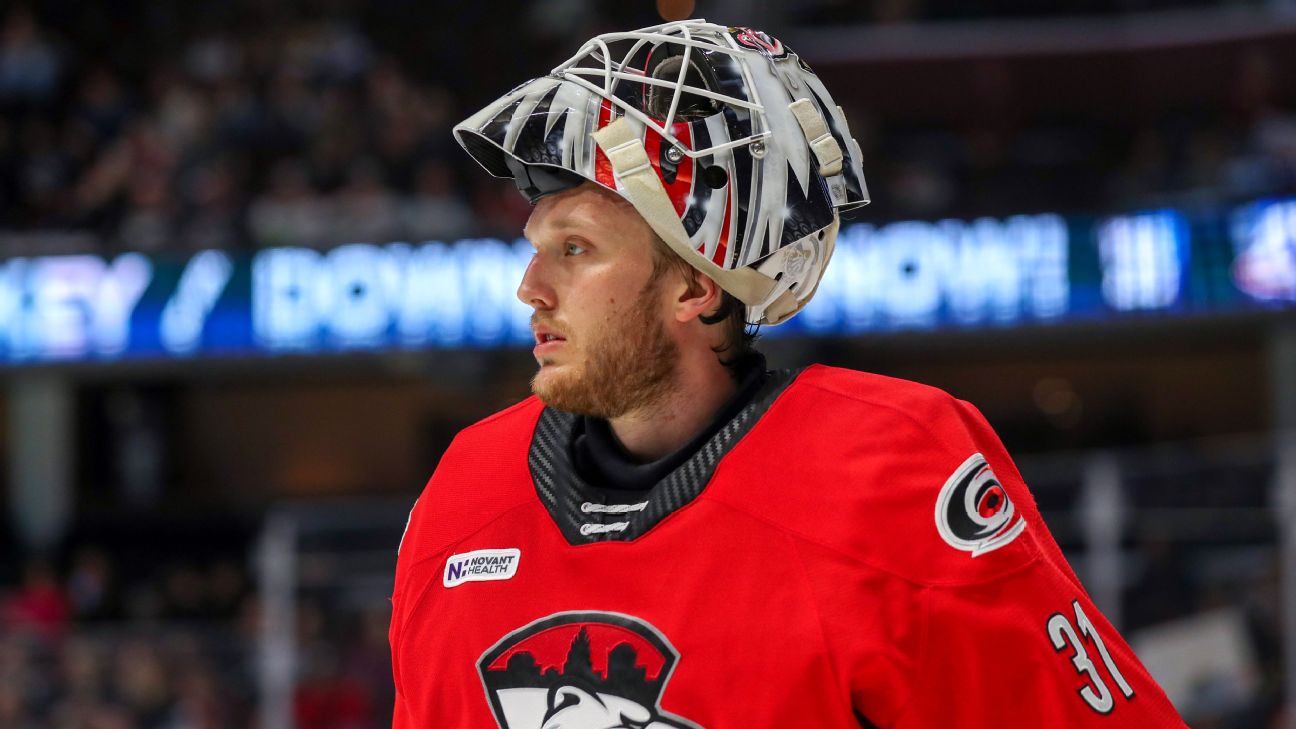 Raleigh to honor fillin goalie David Ayres after Canes heroics ABC11