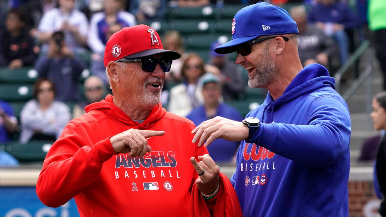 New Angels manager Joe Maddon reunites with Cubs at spring training - ESPN