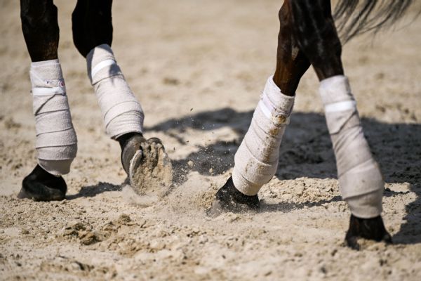 Article image accompanying Professor, bettor charged with accessing private horse info on WagerUp Sports News. Article image accompanying Professor, bettor charged with accessing private horse info on WagerUp Sports News.