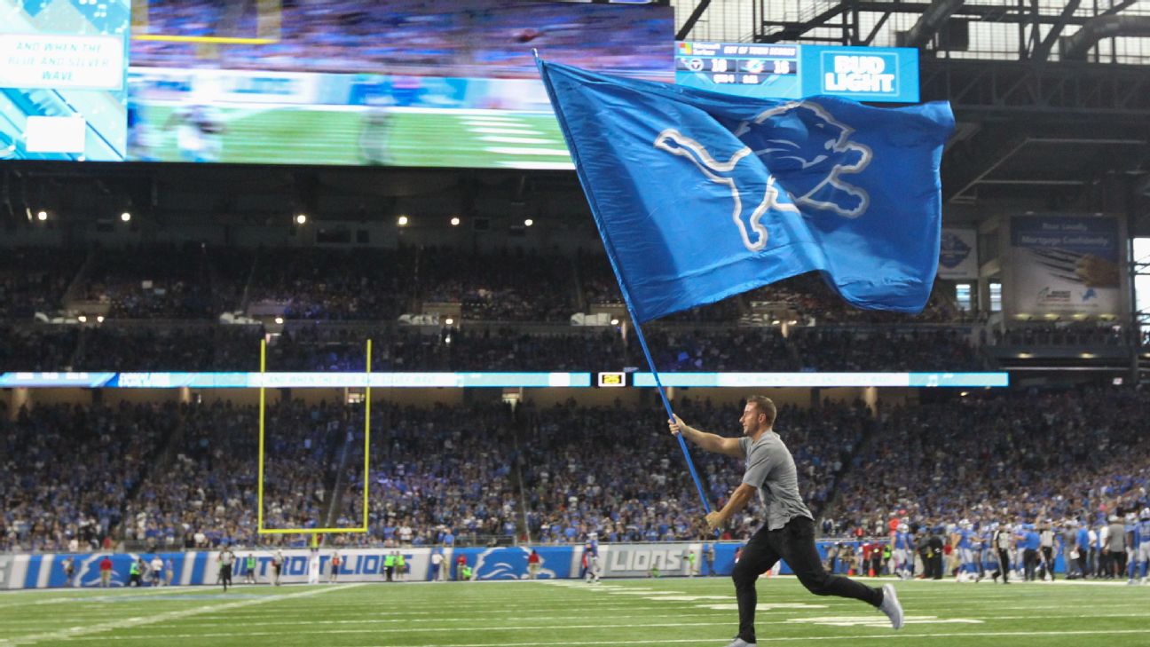 NFL 2 Sided House Banner, Detroit Lions