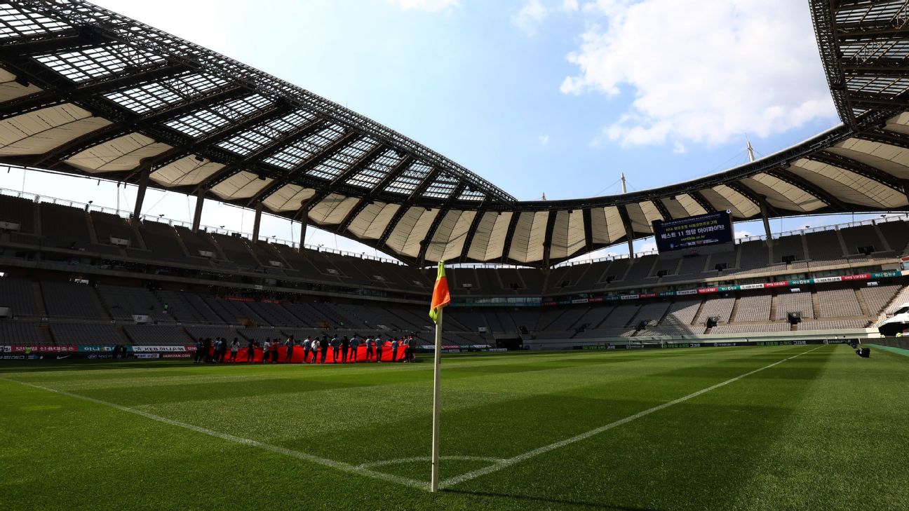 South Korea club FC Seoul apologise as sex dolls appear in stands