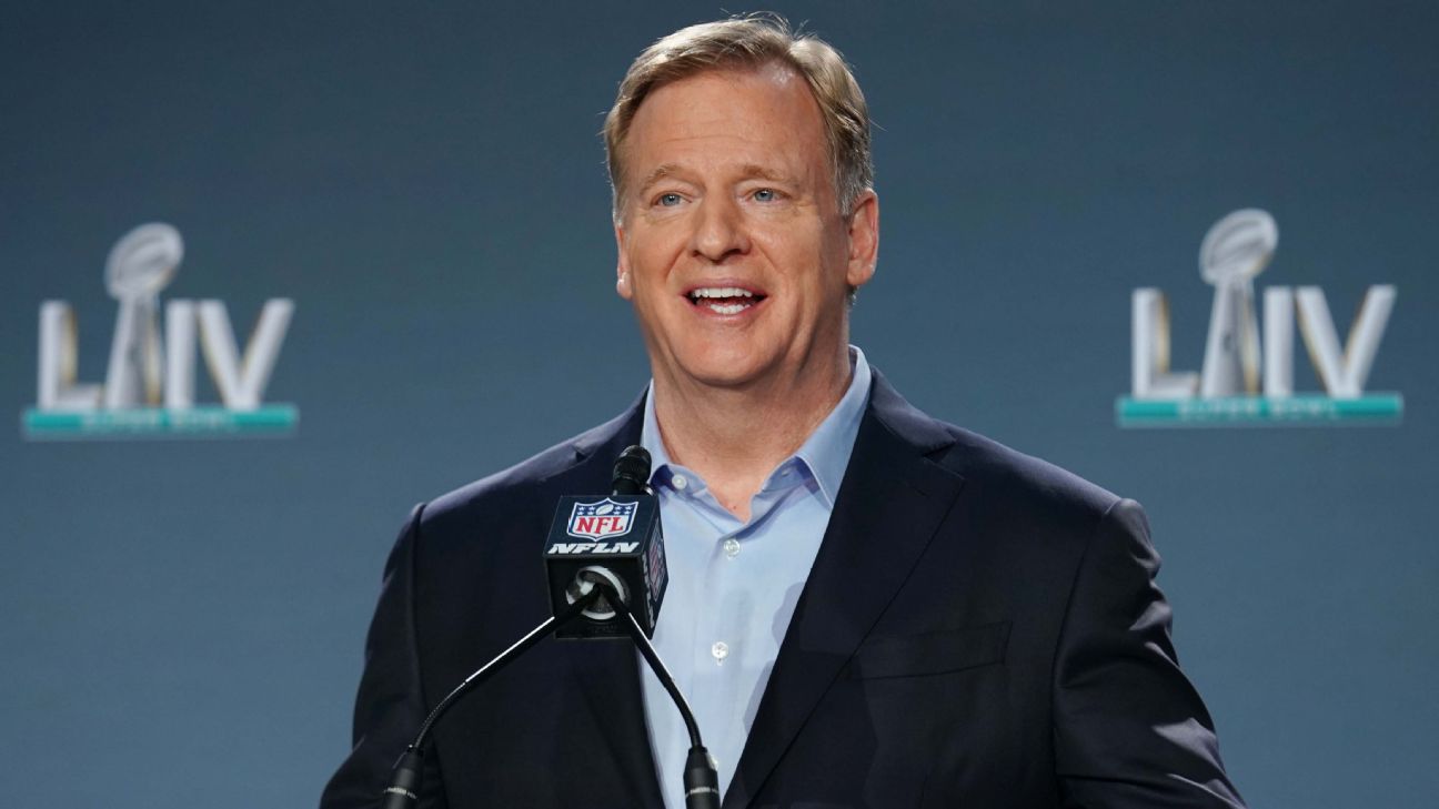 NFL Commissioner Roger Goodell held a virtual fan forum with Bengals season  ticket holders