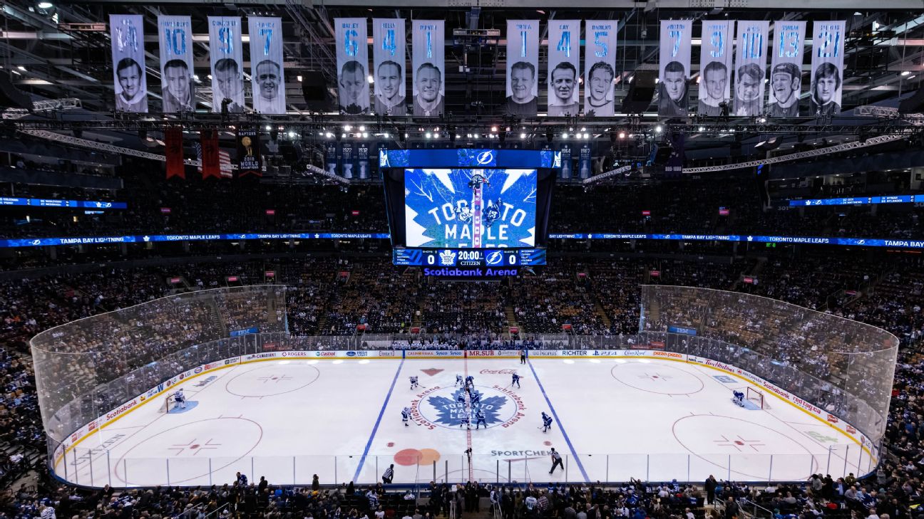 Game Crowd Ambience Sound Effects - French Hockey