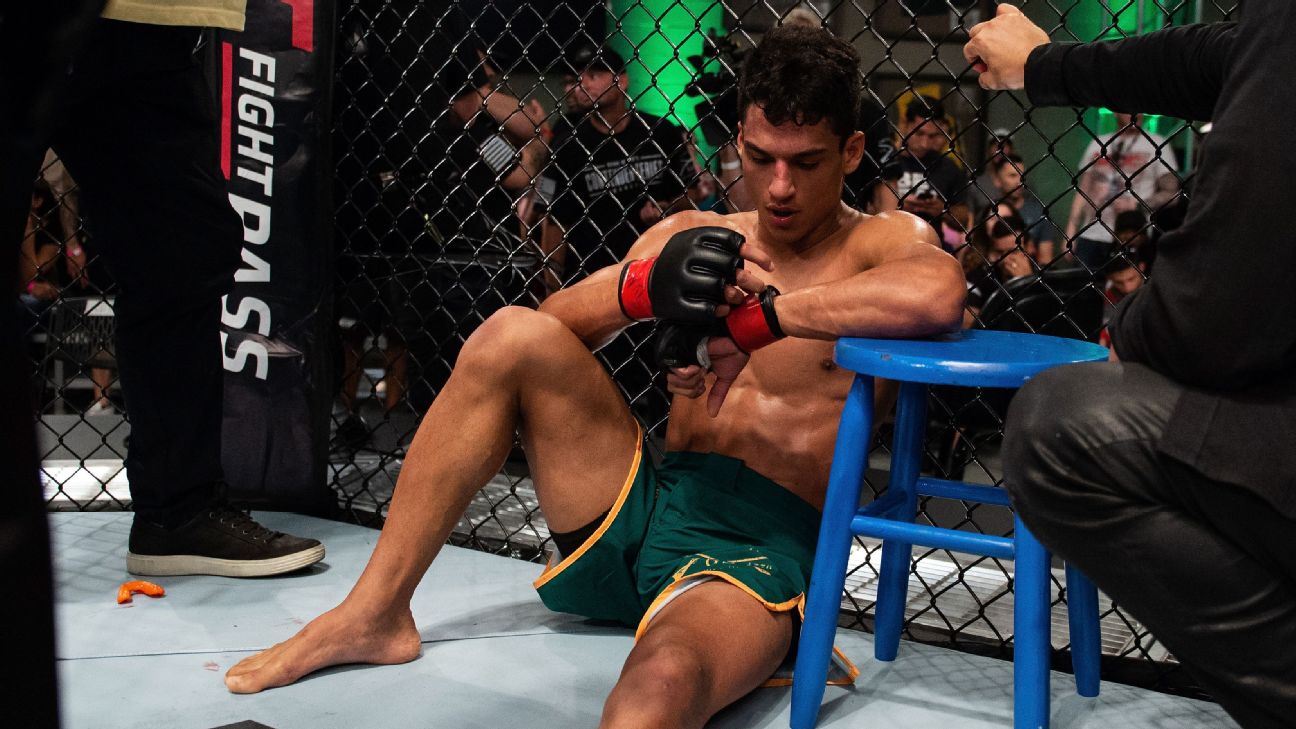 Novos contratados pelo UFC! Confira a festa brasileira no Contender - Ag.  Fight – MMA, UFC, Boxe e Mais