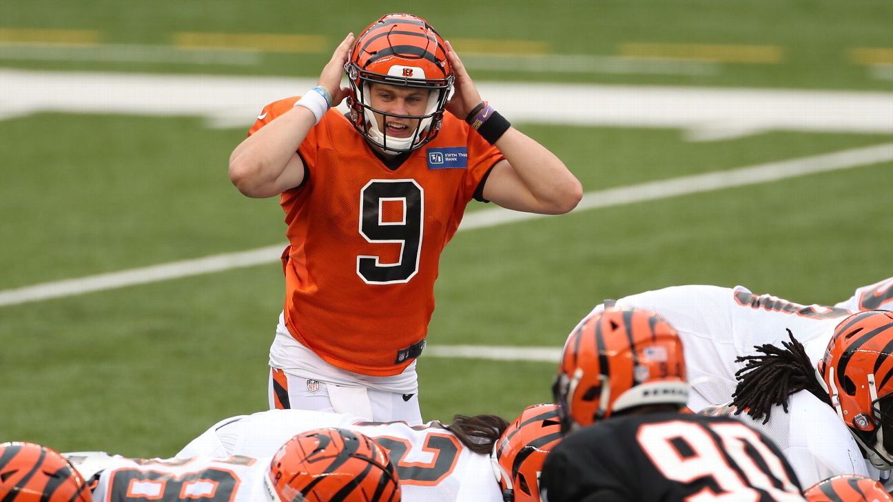 NFL odds: Bengals as AFC's No. 1 seed? Someone bet to win $1.2 million on  that at BetMGM