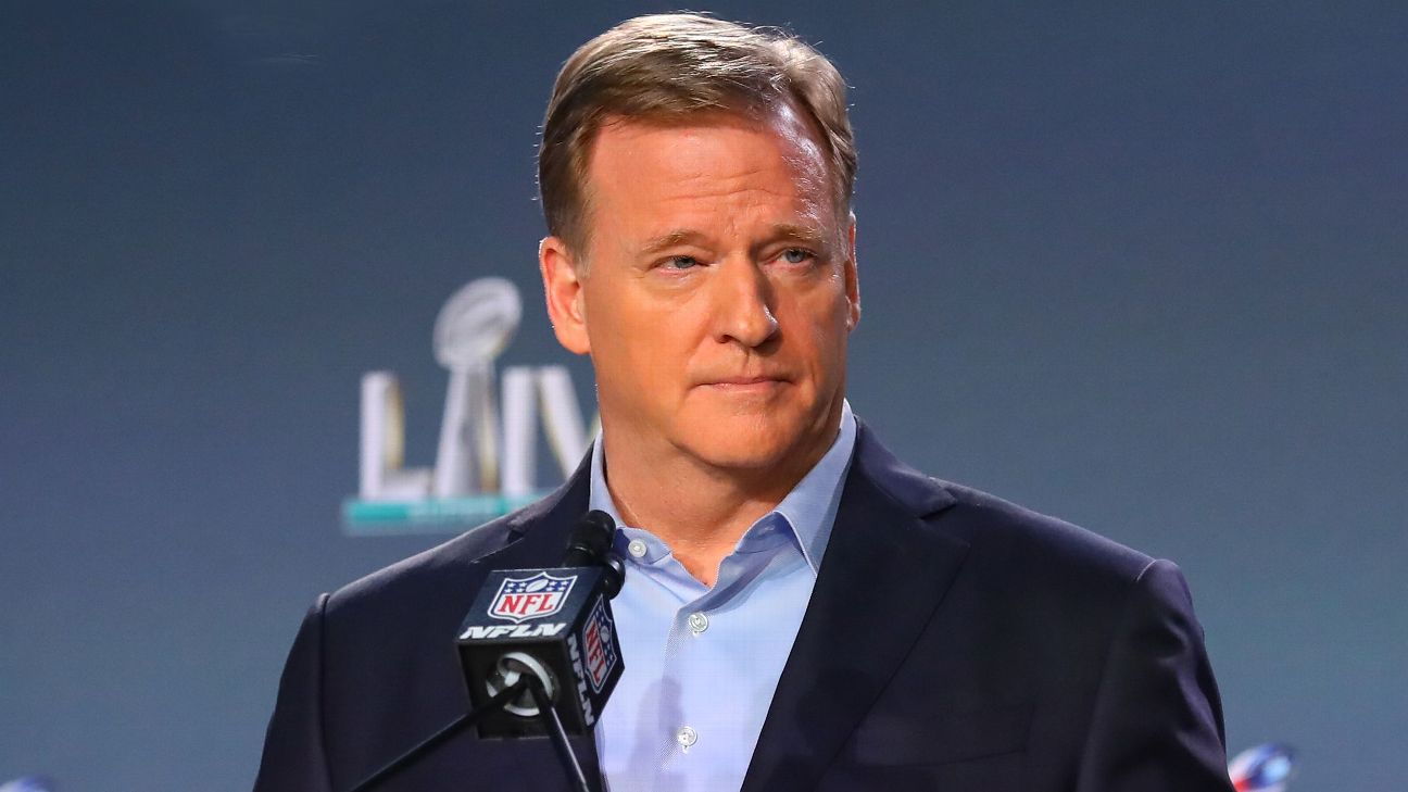 What Is The Shadow League Rooney Rule Modification?  Only NFL Commissioner  Roger Goodell Can Truly Guarantee Compliance