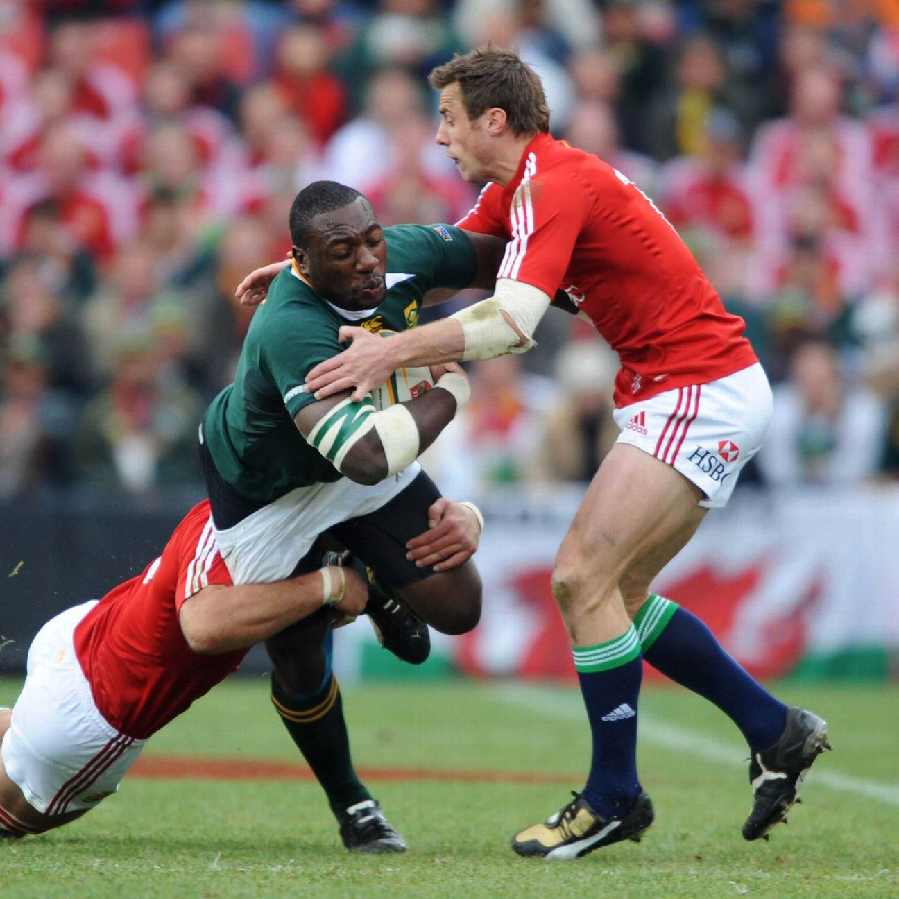 rugby union schedule