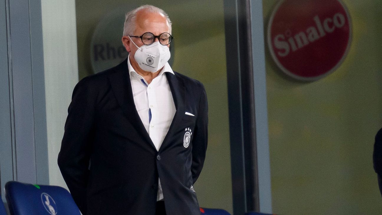 German FA president resigns over Nazi remarks