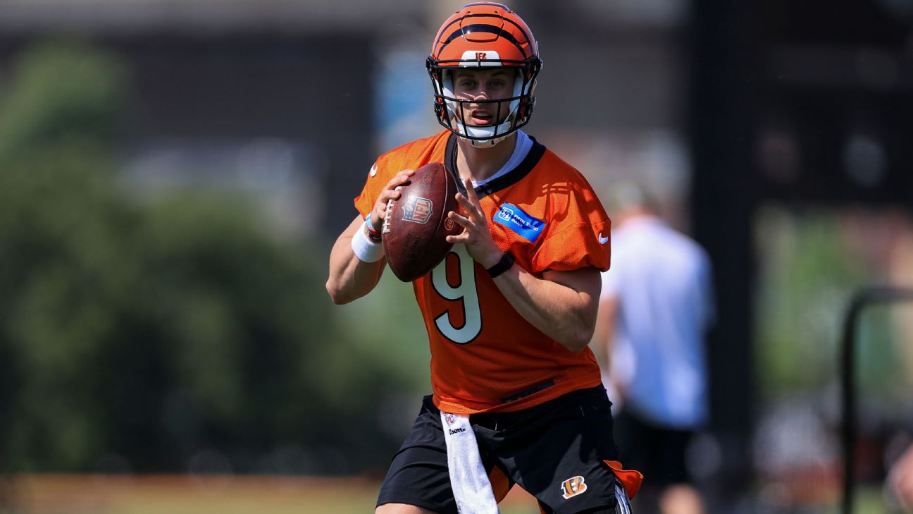 Cincinnati Bengals - Bengals OTA Football Cincinnati Bengals