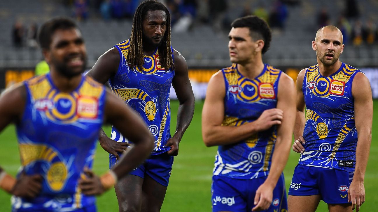 AFL Grand Final: Most dedicated West Coast Eagles fan still falls