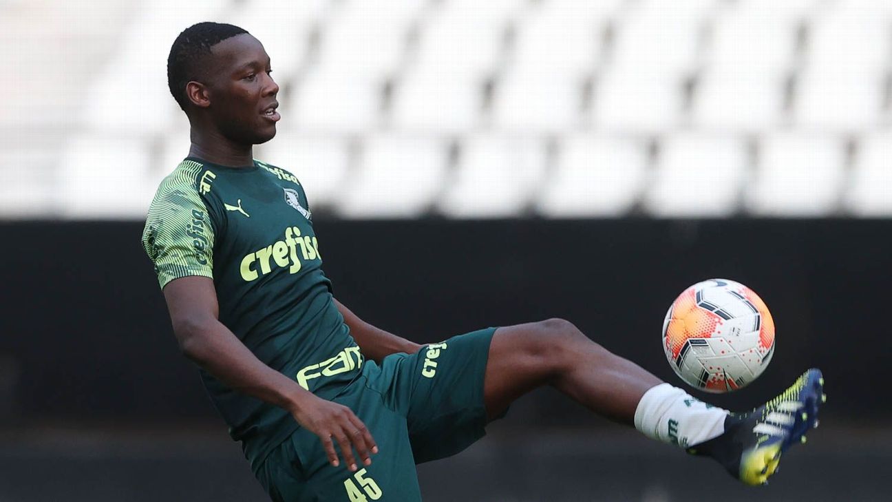 Nova camisa do Palmeiras é divulgada oficialmente; confira fotos e vídeo