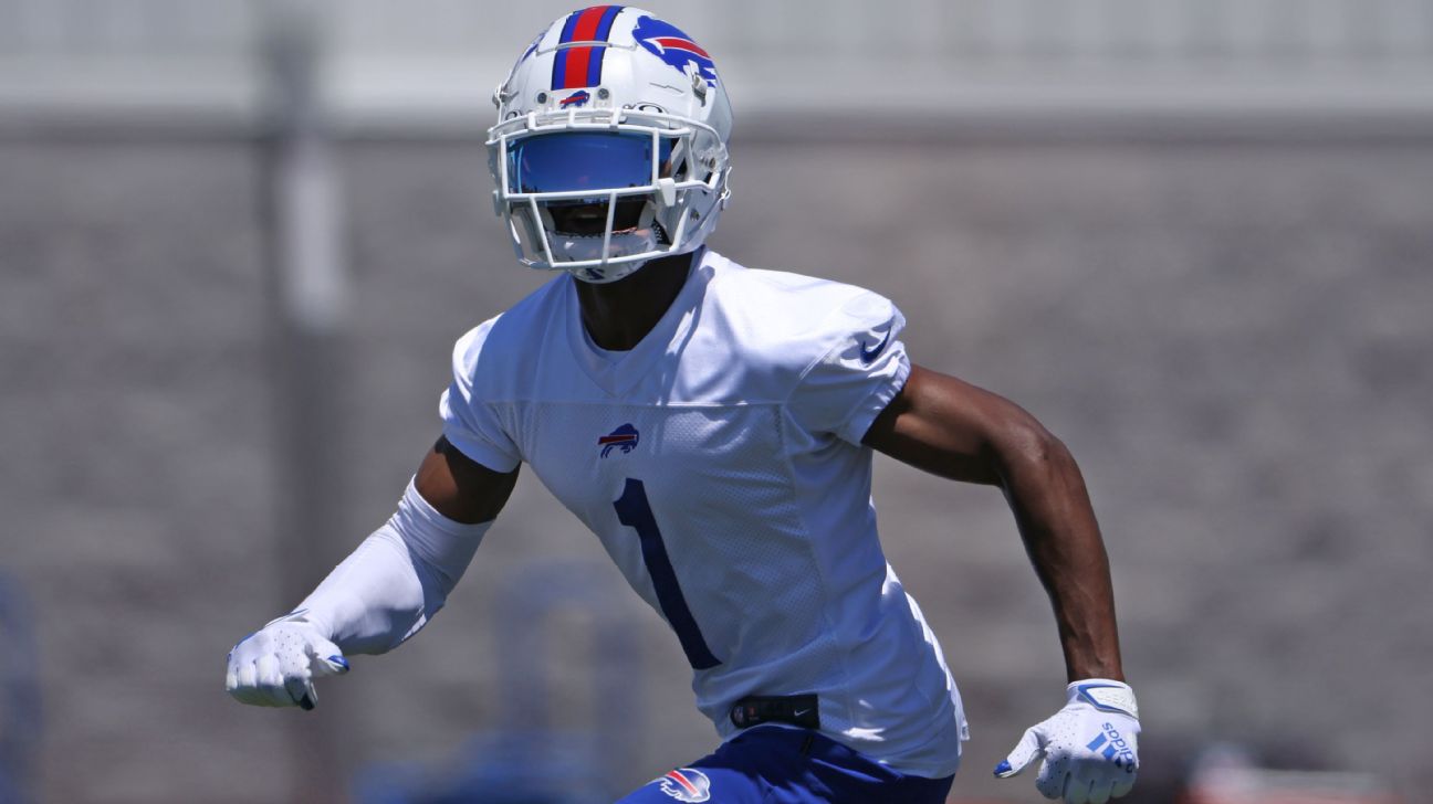 Buffalo Bills camp: Rookie WR Gabriel Davis, Isaiah Hodgins impressing