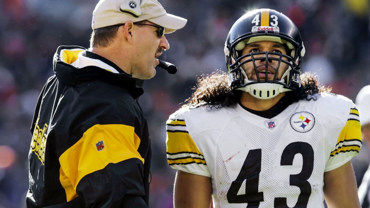 Steelers great Polamalu heading to Hall of Fame