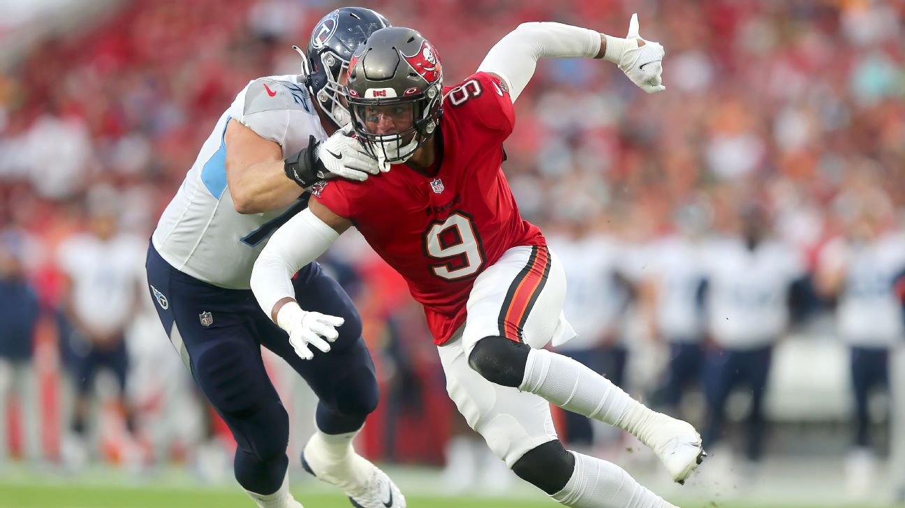 Bucs OLB Tryon-Shoyinka's Developmental Path