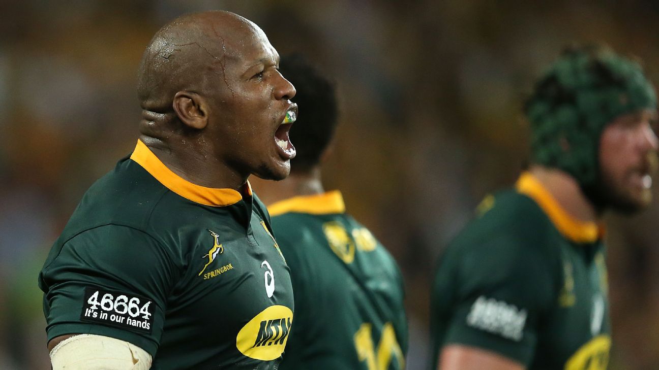 Springboks reclaim number one spot as northern hemisphere duo fall :  PlanetRugby