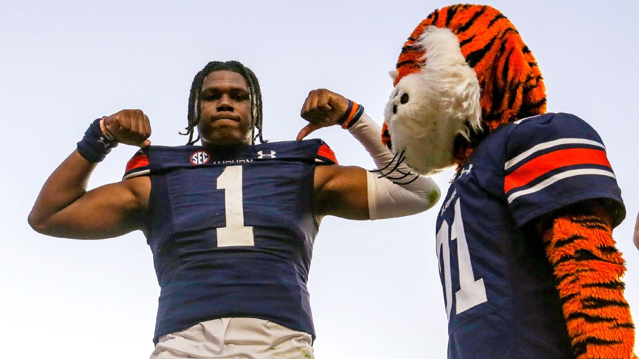 Georgia State coach says Auburn Tigers were helped by questionable