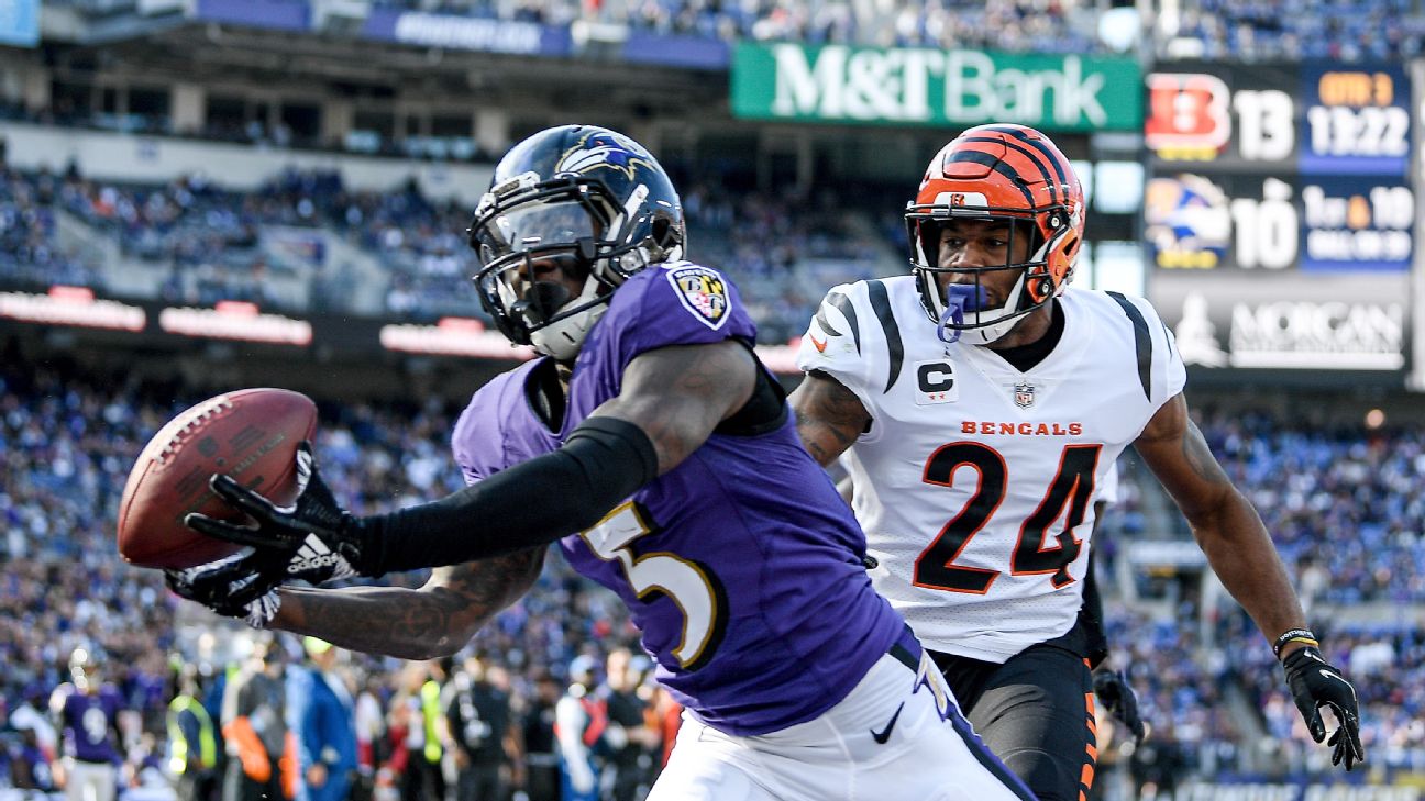 Marquise Brown checking the boxes for breakout second year with Ravens