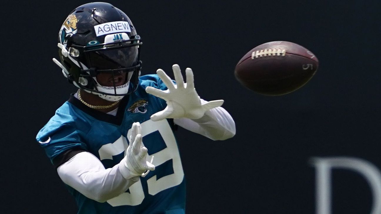 Jacksonville Jaguars wide receiver Jamal Agnew runs with the ball