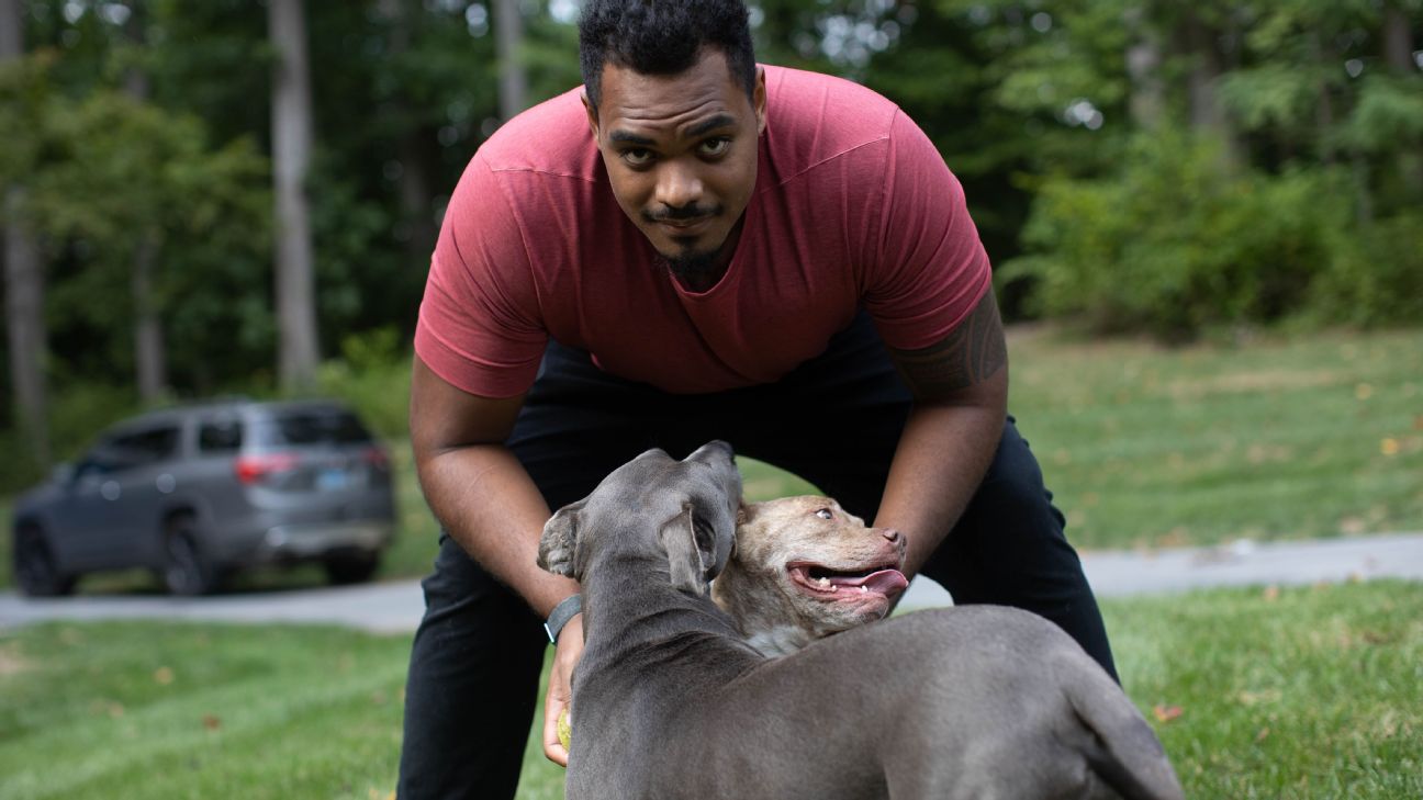 San Francisco 49ers Have NFL's First Emotional Support Dog