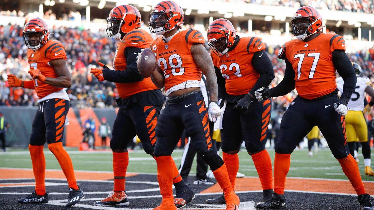 Joe Mixon ready for more in Bengals' new offense - ESPN - Cincinnati  Bengals Blog- ESPN