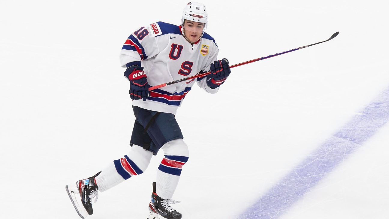 What Will Olympic Hockey Rosters Look Like Without Nhl Players