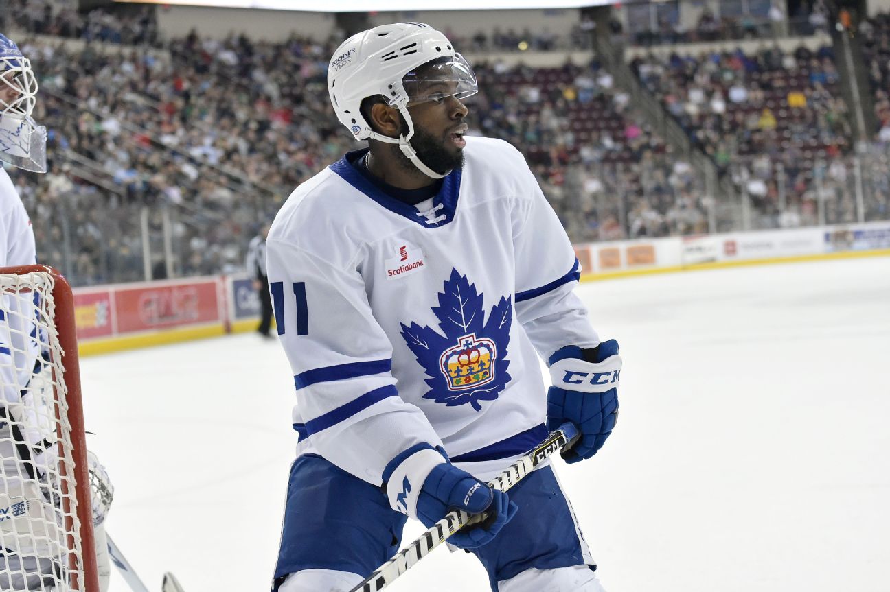 ECHL suspends player for racist taunt at Subban