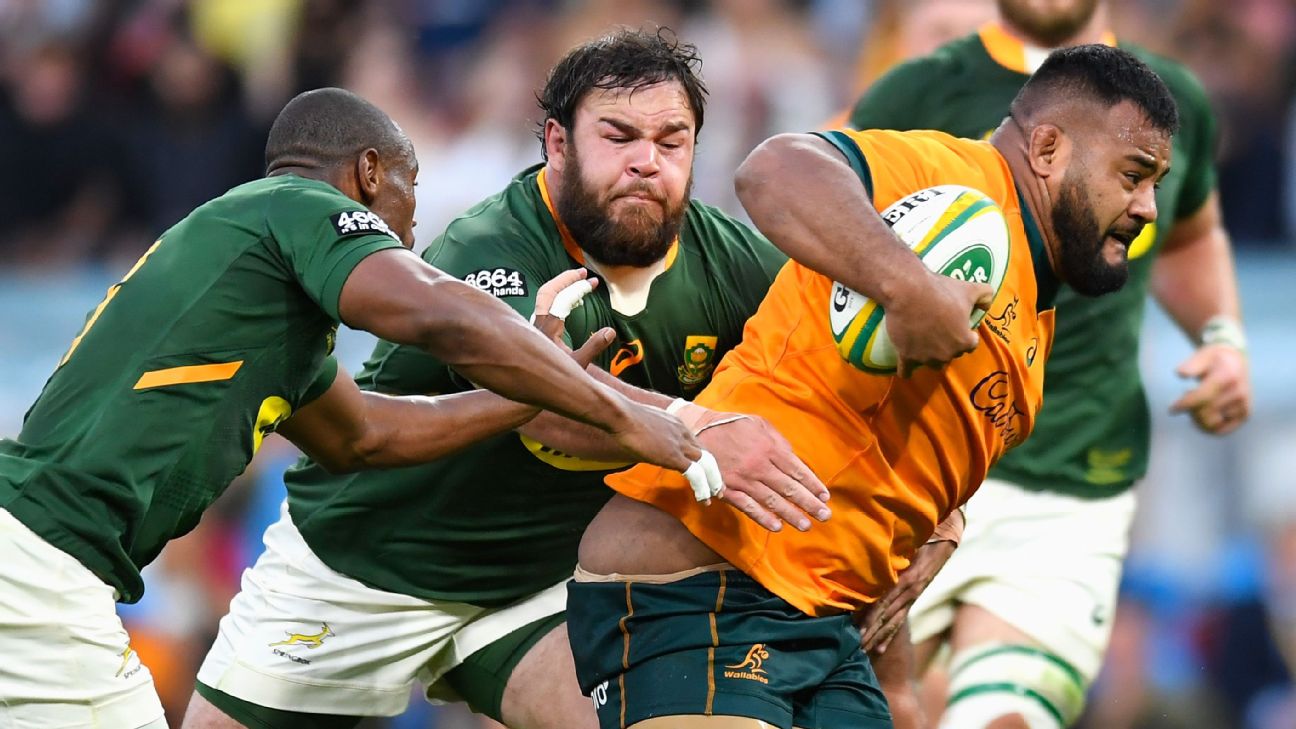 Rugby Championship: South Africa to remain in competition until 2025, Rugby  Union News