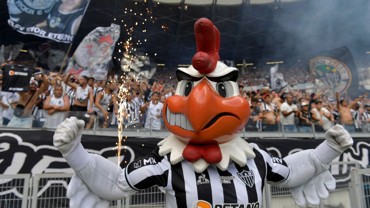 Fowl play! Rooster mascot's ban for intimidation