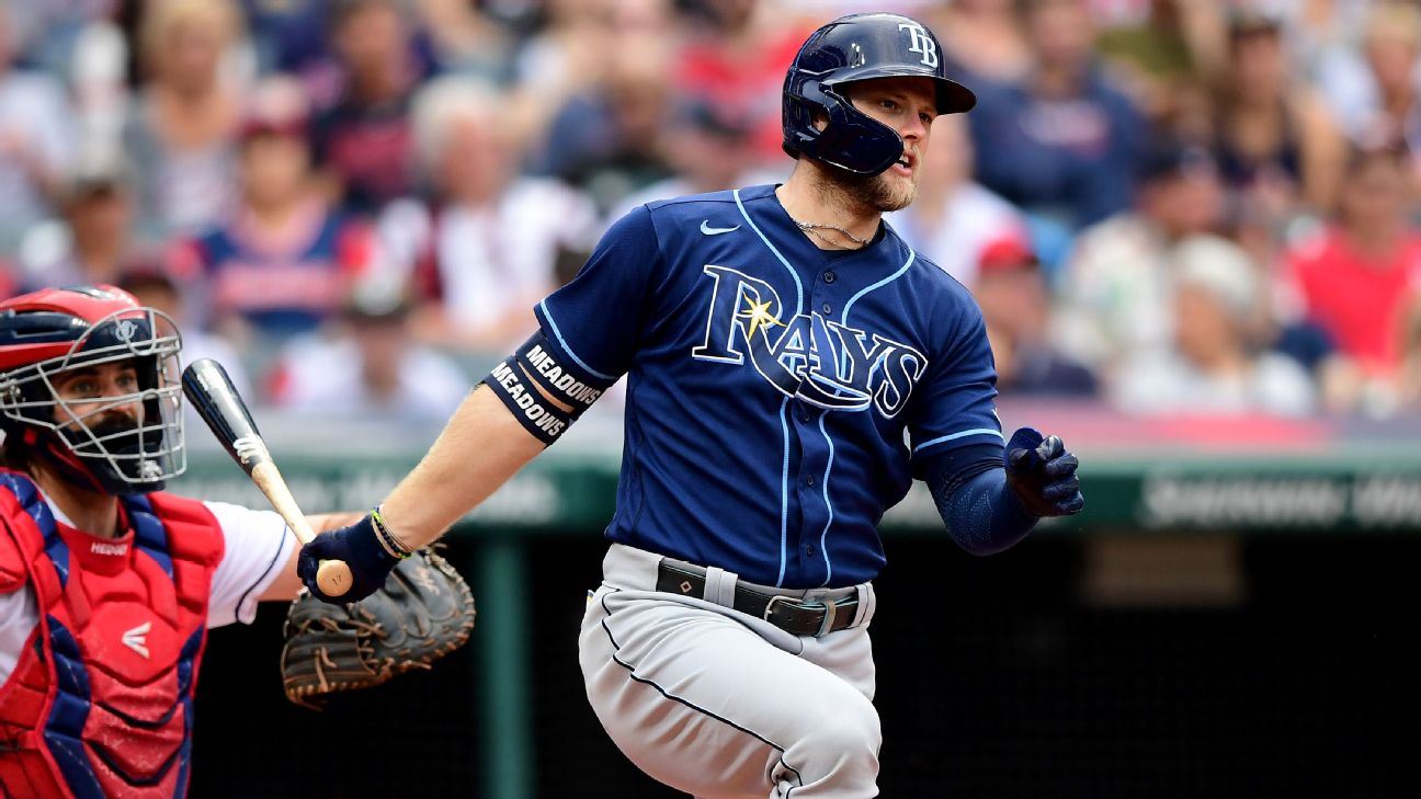 The Detroit Tigers acquired Tampa Bay Rays outfielder Austin