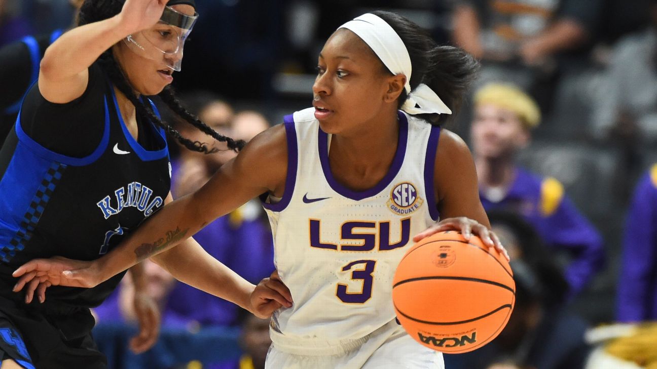 NCAA women's basketball transfer portal: How did LSU, South Carolina and  Louisville fare? - The Athletic