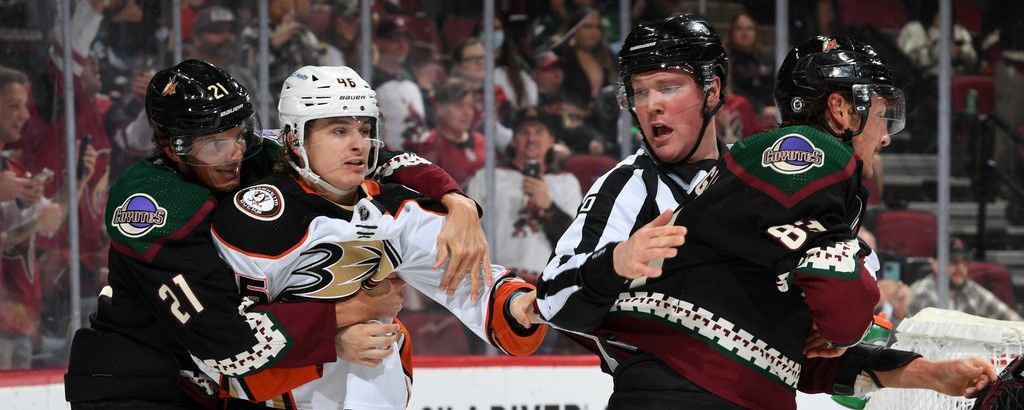 Troy Terry Stats, Profile, Bio, Analysis and More, Anaheim Ducks