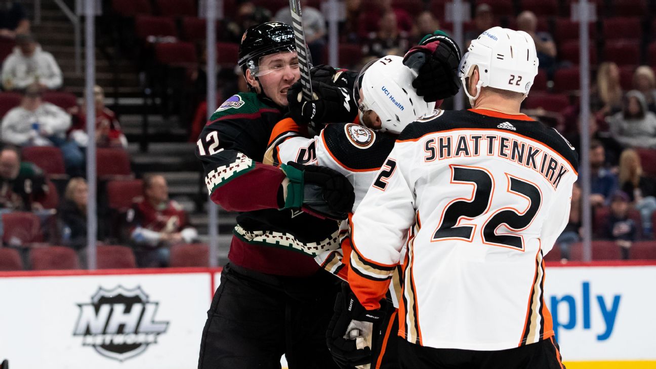 Anaheim Ducks and Arizona Coyotes bring NHL action to the desert