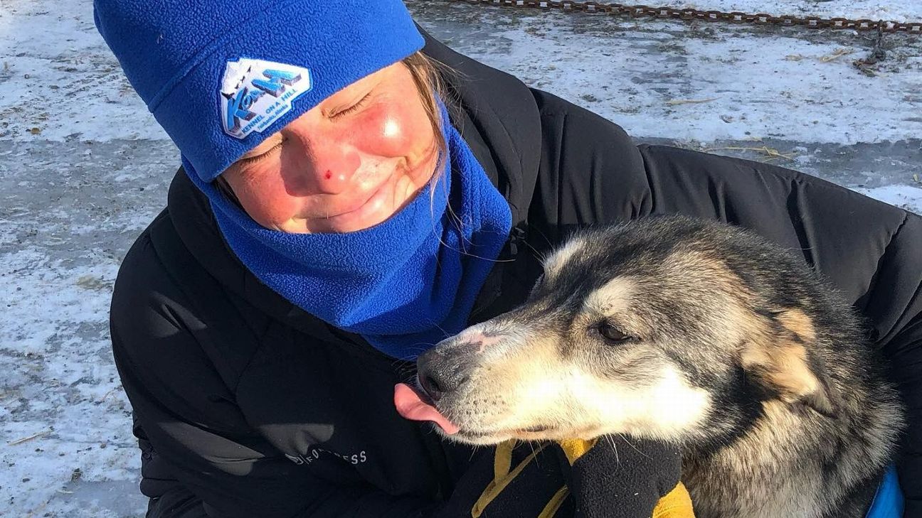 How Iditarod rookie Bridgett Watkins, attacked by a moose, survived yet  another near disaster - ESPN