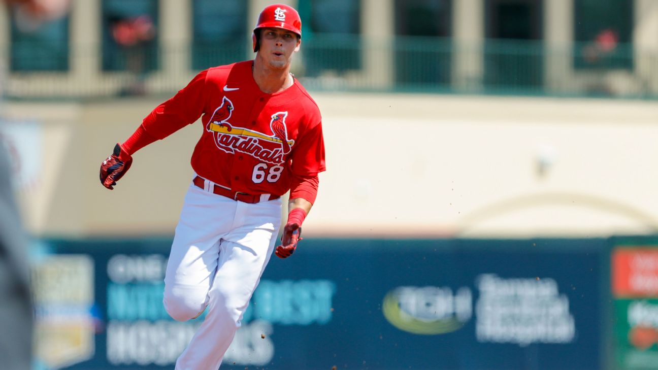 Nolan Gorman St Louis Cardinals Autographed Baseball - MLB COA