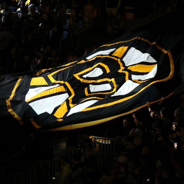 NHL off-ice official injured at Bruins' playoff game