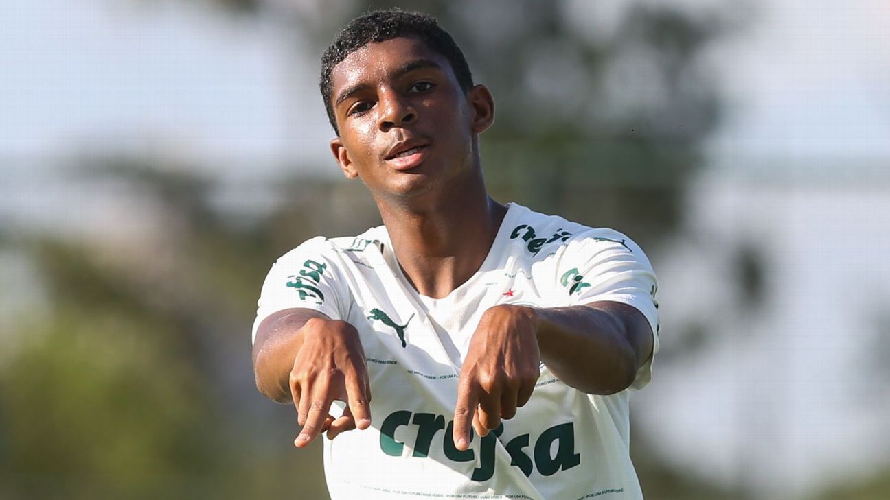 Luis Guilherme decide, Palmeiras vence o Grêmio e conquista o título do  Campeonato Brasileiro Sub-17