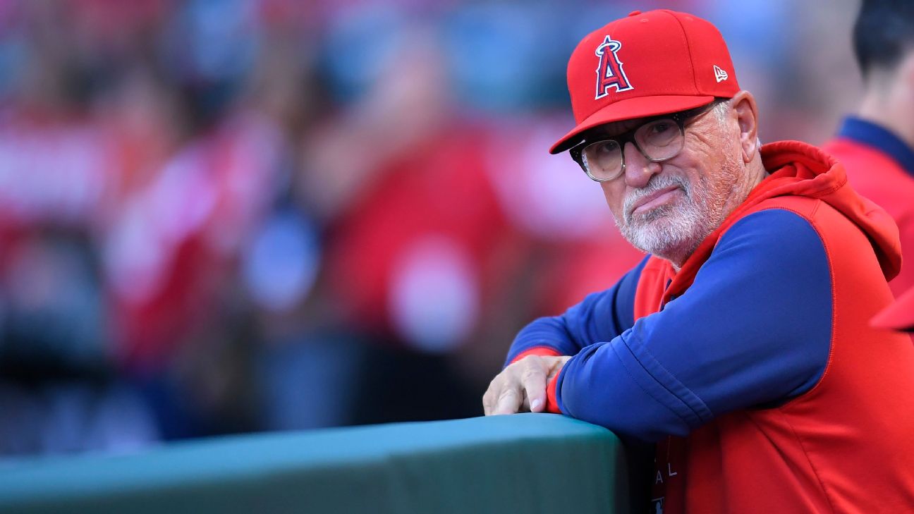 New Angels manager Joe Maddon reunites with Cubs at spring training - ESPN