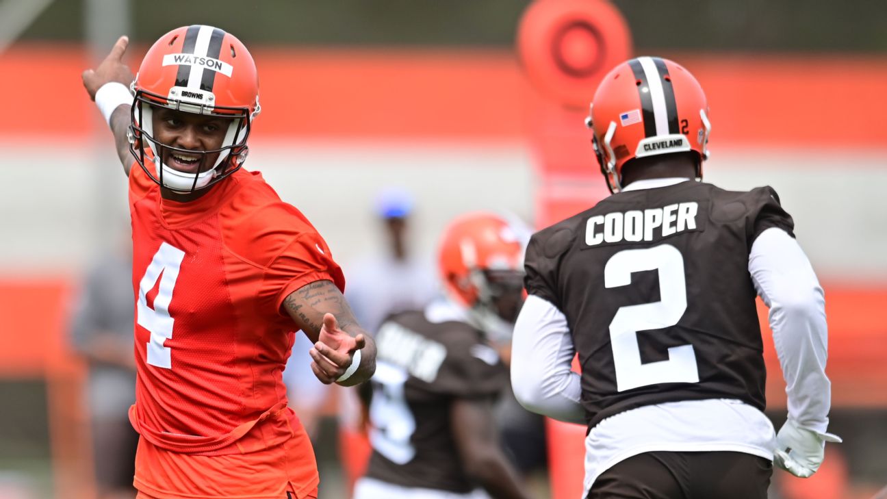 ESPN Analyst Reveals Rankings For Browns Roster This Season