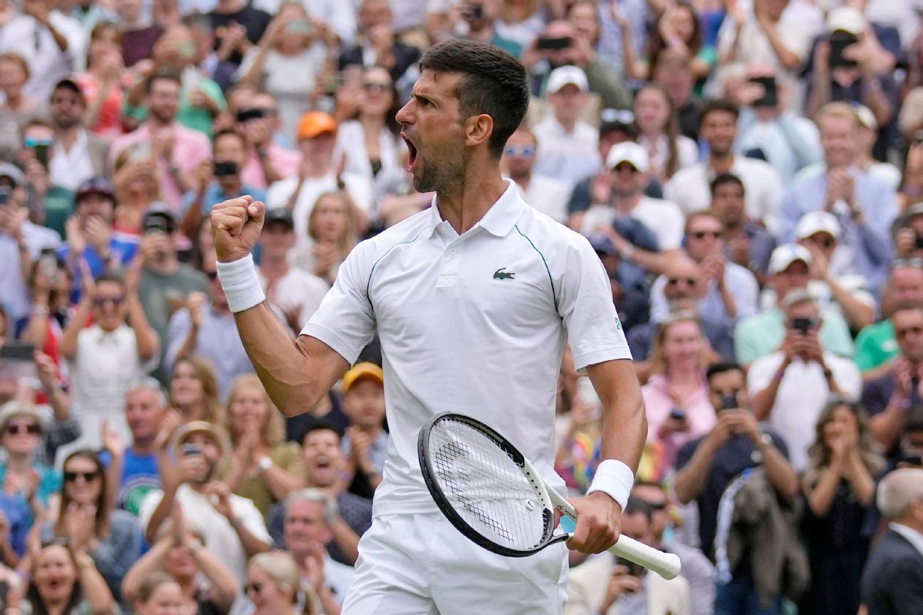 Djokovic rallies into semifinals, will face Norrie