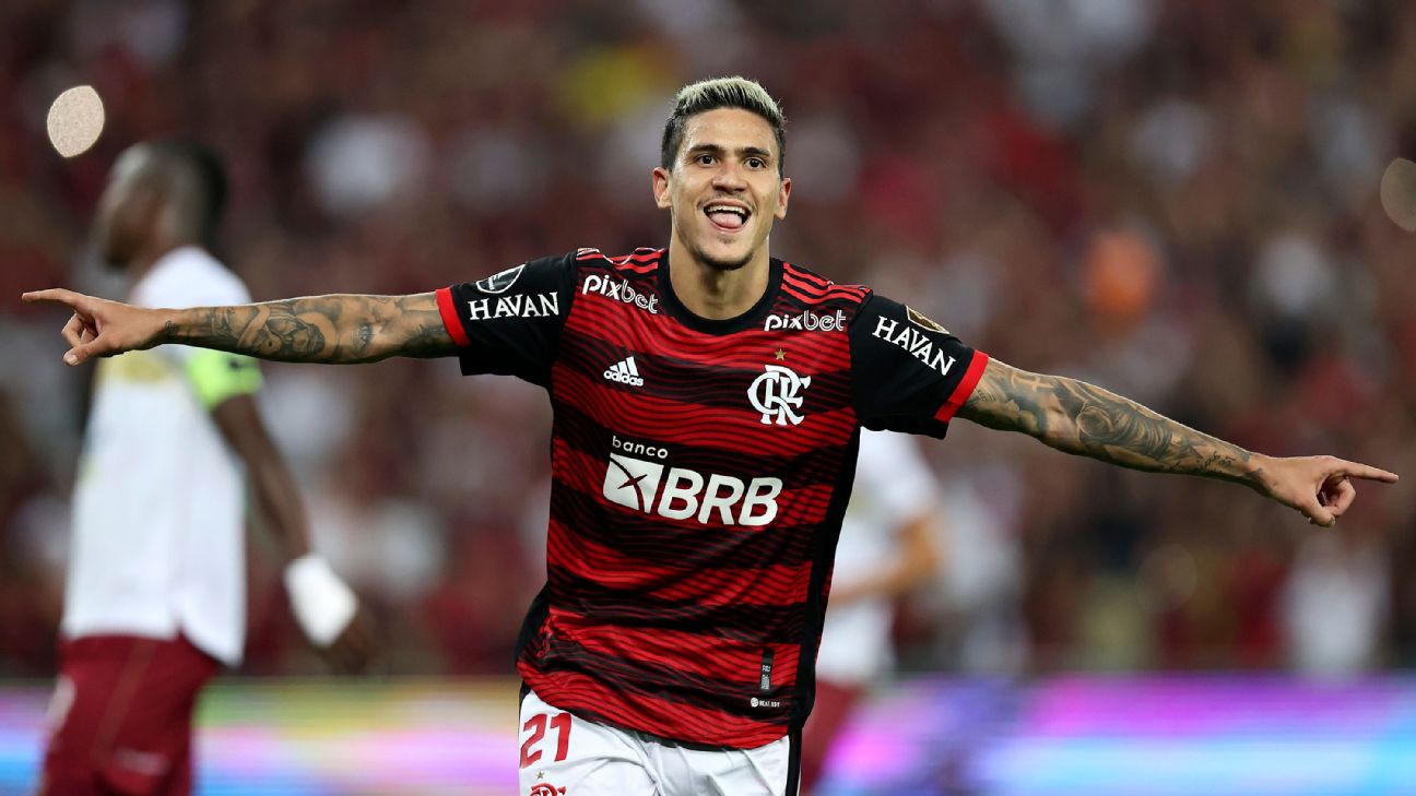 Flamengo striker Pedro could be Brazil's World Cup bolter