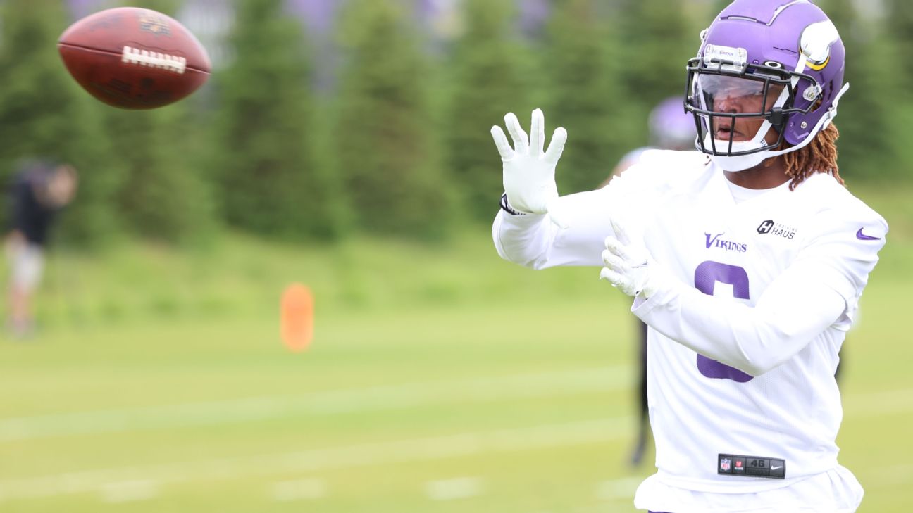 Kevin Seifert on X: New Vikings S Lewis Cine is here — with the No. 6  jersey.  / X