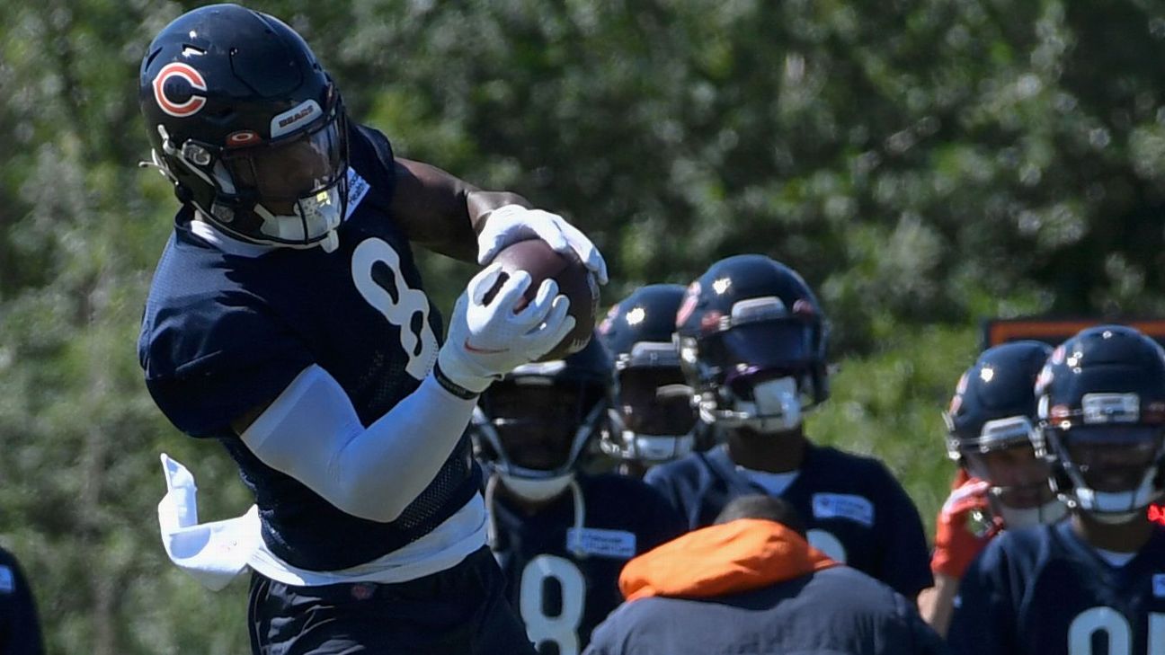 Chicago Bears wide receiver N'Keal Harry's ankle injury believed to be
