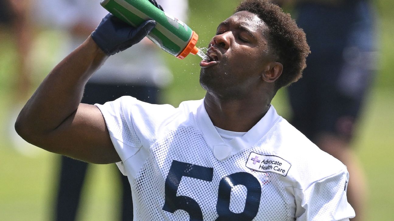 Everybody has a different sense of confidence': Why Roquan Smith's return  matters for the Chicago Bears – Orange County Register