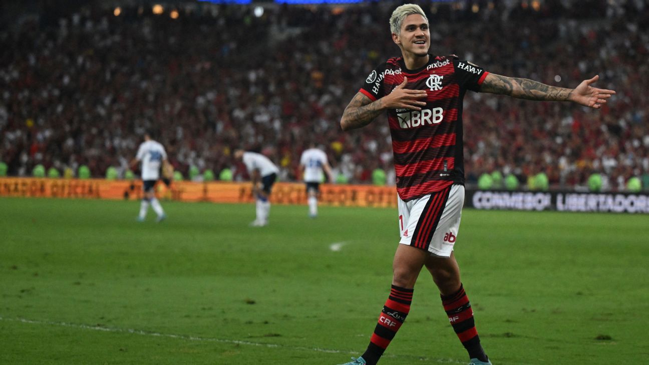 Queria, mas não levou: Vélez não dá bola do jogo a Pedro, destaque do  Flamengo, flamengo