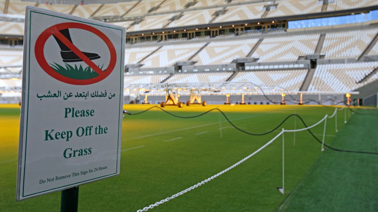 Qatar World Cup's secret ingredient? American grass!