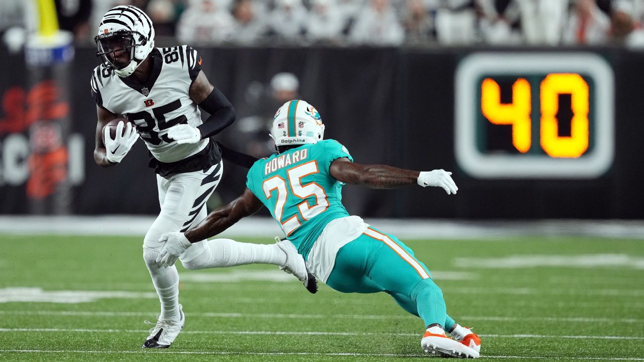 Tee Higgins Cincinnati Bengals Unsigned Catches A Pass in Stride for Touchdown White Alternate Jersey Photograph