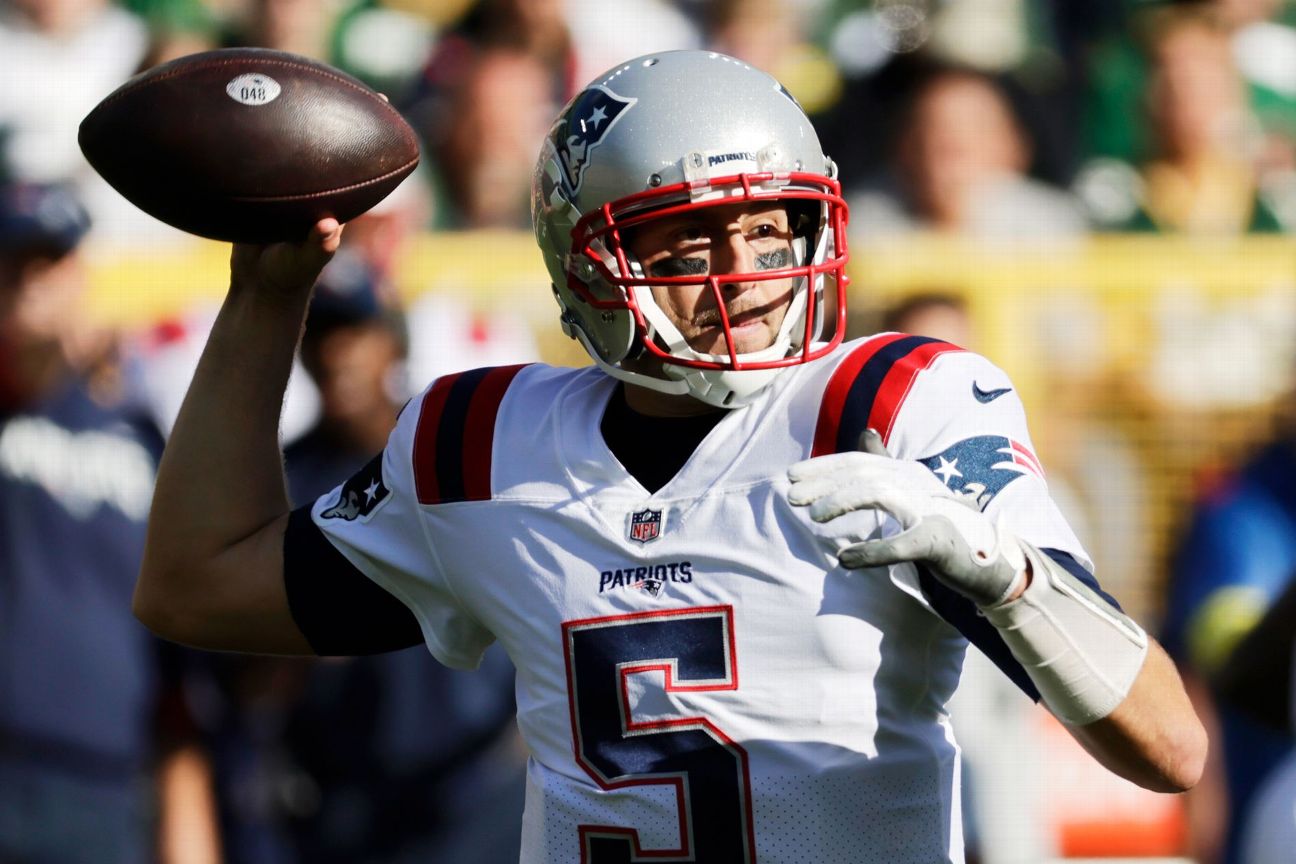 Raiders sign QB Hoyer, add Amendola to staff